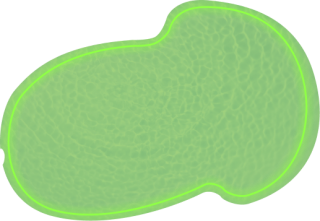 RGB подсветка